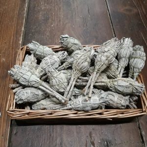 img_4677 Mini California White Sage Smudge Stick Bulb Loose (8cm) (Sage)