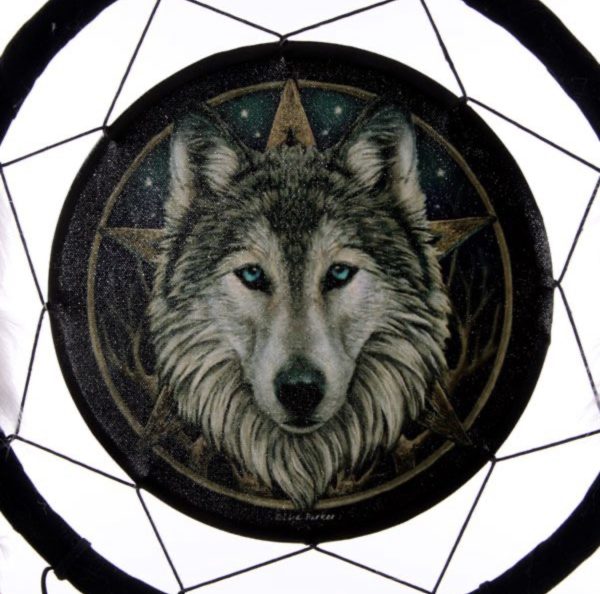 DCP02Q Lisa Parker© Dreamcatcher - Wolf Head Stars (Medium) (33cm) (Dark Blue/White)