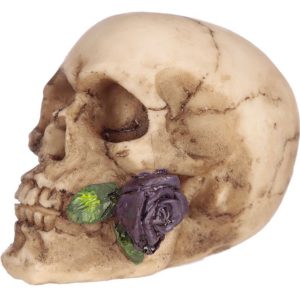 Mini Purple Rose Skull Head Skull with Rose in Mouth Home Decoration(7cm) (Bone/Purple)