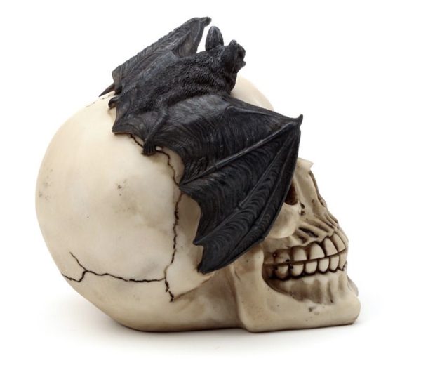 SK377 Gruesome Skull Head with Bat Decoration (15cm) (Black/Bone) - Image 4