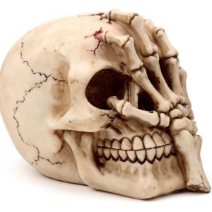 img_2867 Gruesome Skull Head with Skeleton Claw Hand (16cm) (Bone)