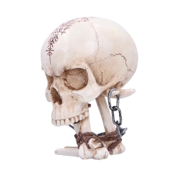 Nemesis Now©  The Reckoning Skull Head Ornament Statue (14.5cm) (Bone) - Image 5