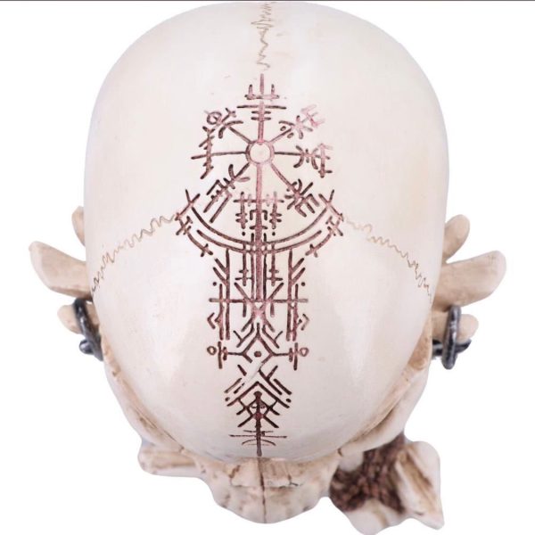 Nemesis Now©  The Reckoning Skull Head Ornament Statue (14.5cm) (Bone) - Image 8