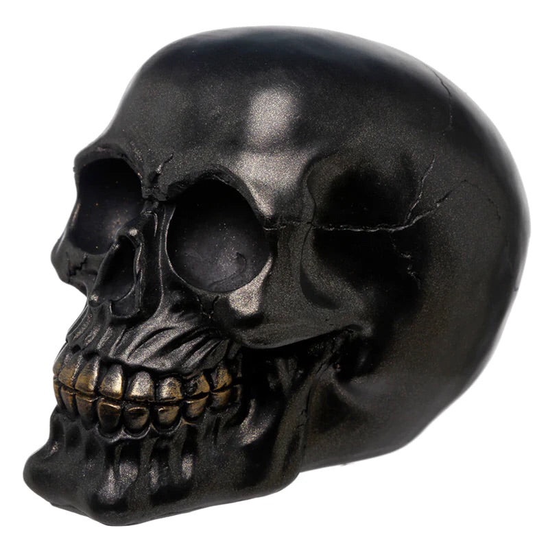 SK294 BATCH98 Metallic Black Skull Ornament (12cm) (Black/Gold)