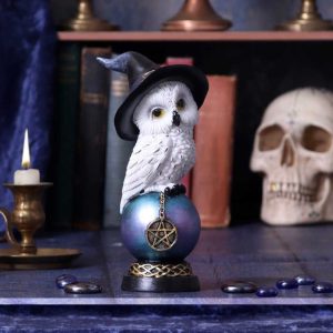 Nemesis Now©  Owl's Talisman Witch Pentagram Figurine (21cm) (Black/White)