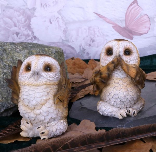 Nemesis Now© "Three Wise Browns Owls" See No, Hear No, Speak No Evil Wise Owls (7.5cm) - Image 2
