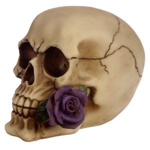 Skulls and Roses Skull with Purple Roses (Cream/Purple)