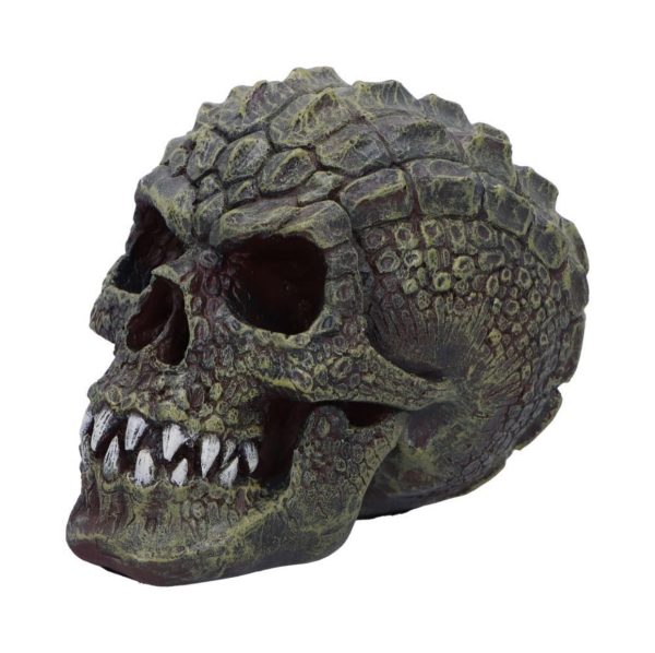 Nemesis Now©  Reptillian Scale Skull Ornament (17cm) - Image 6