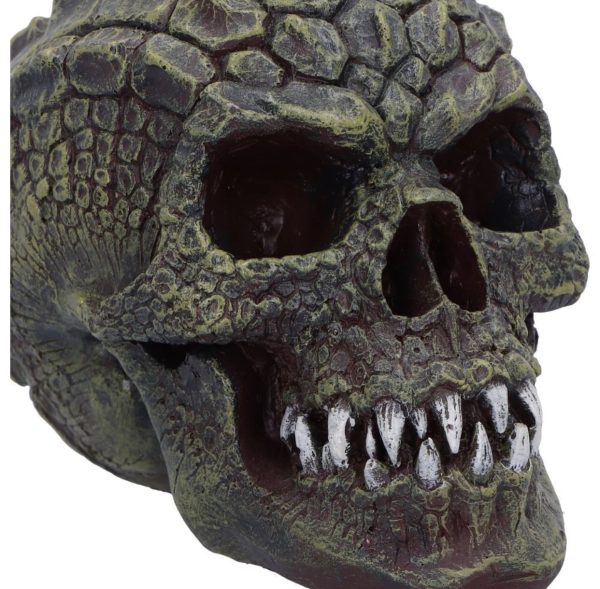 Nemesis Now©  Reptillian Scale Skull Ornament (17cm) - Image 5
