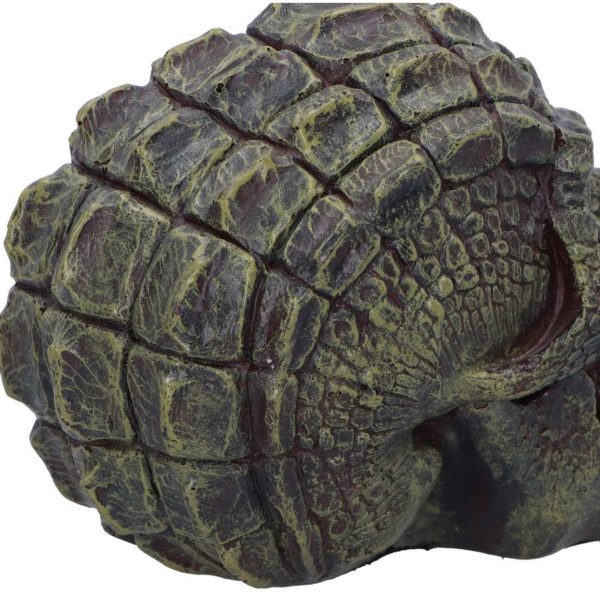 Nemesis Now©  Reptillian Scale Skull Ornament (17cm) - Image 4