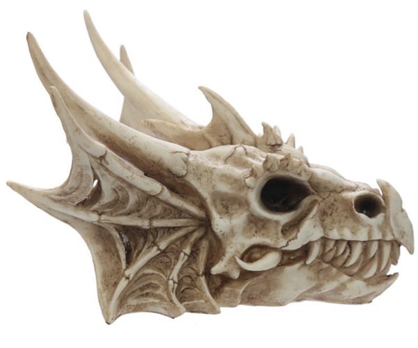 Dragon Head Skull Decoration Ornament (16.5cm) - Image 5