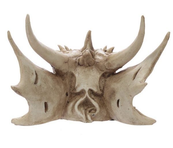 Dragon Head Skull Decoration Ornament (16.5cm) - Image 4