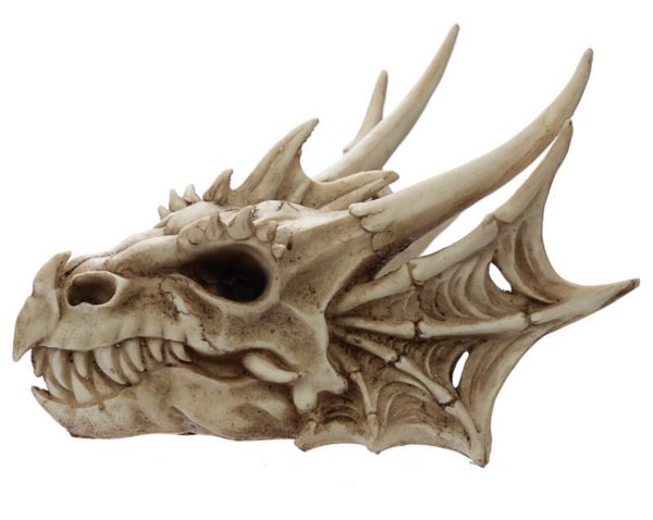 Dragon Head Skull Decoration Ornament (16.5cm) - Image 3