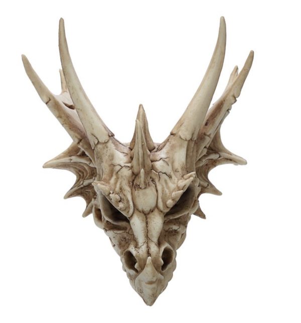 Dragon Head Skull Decoration Ornament (16.5cm) - Image 2