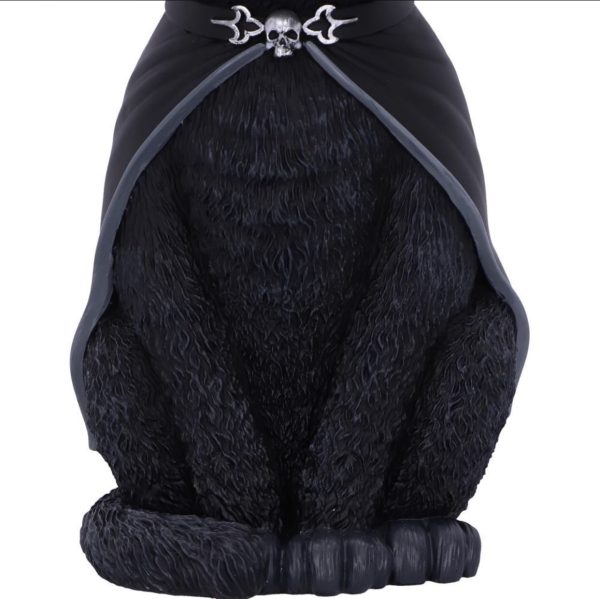 Nemesis Now© "Purrah" Cult Cuties Cat Witches Hat Occult Detailing (30cm) (Large) - Image 6