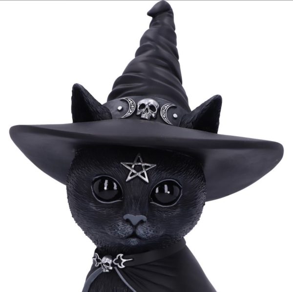 Nemesis Now© "Purrah" Cult Cuties Cat Witches Hat Occult Detailing (30cm) (Large) - Image 4