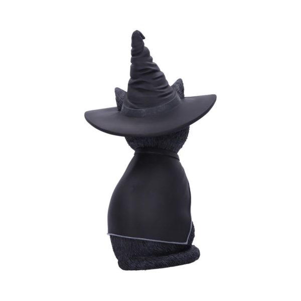 Nemesis Now© "Purrah" Cult Cuties Cat Witches Hat Occult Detailing (30cm) (Large) - Image 7