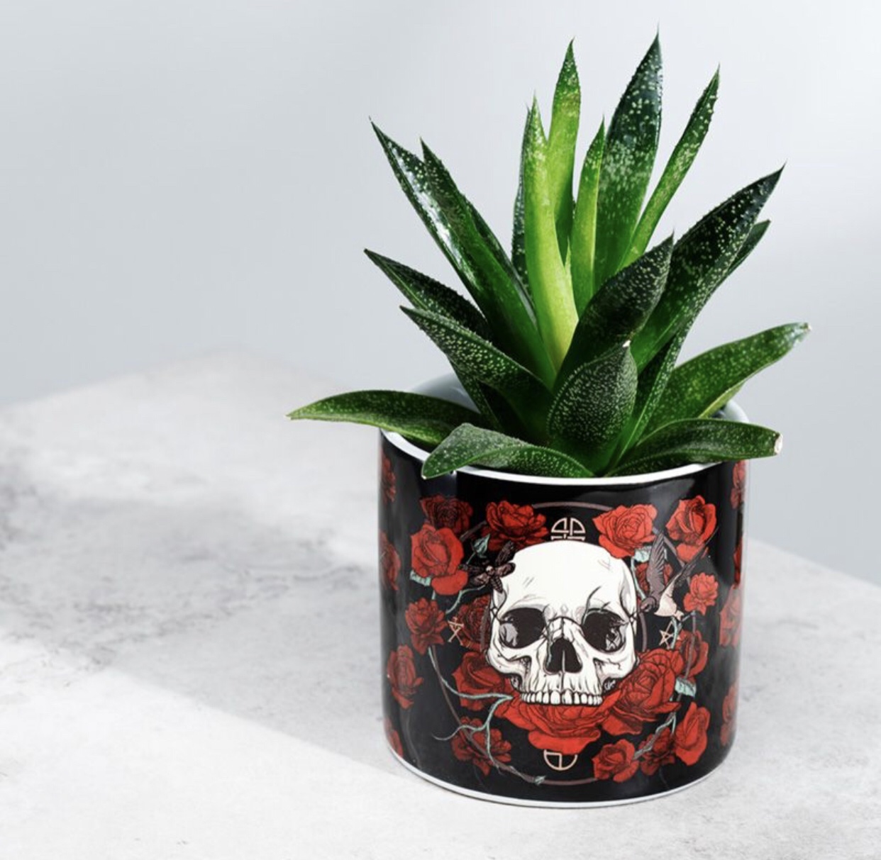 PLAN30 Skulls & Roses Ceramic Indoor Plant Pot (7.5cm) (Black/Red/White) (Small)