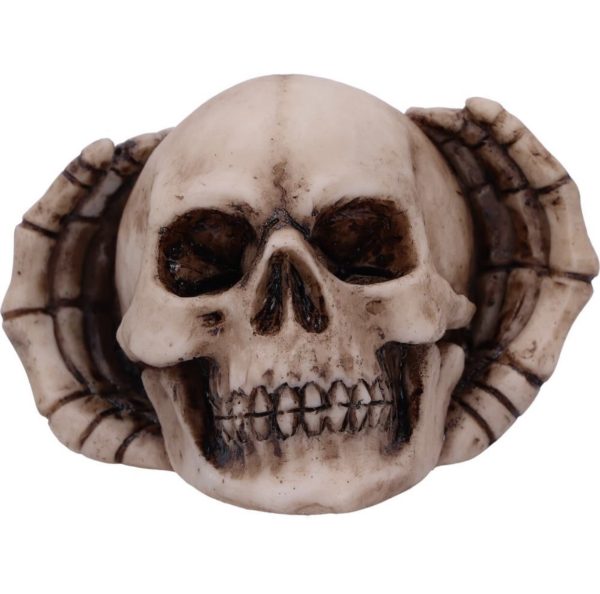 Nemesis Now© "Three Wise Skulls" See No, Hear No, Speak No Evil Three Wise Skulls (7.5cm) - Image 5