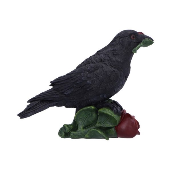 Nemesis Now©  "Rose of the Raven" Raven Stood on Roses (14cm) - Image 3