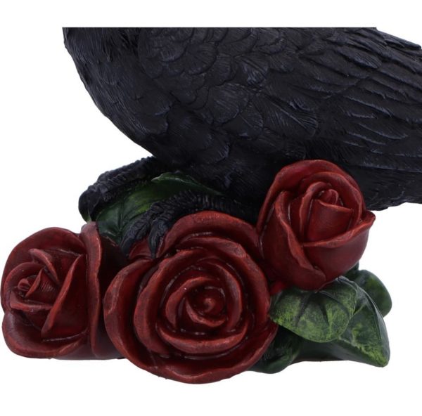 Nemesis Now©  "Rose of the Raven" Raven Stood on Roses (14cm) - Image 5