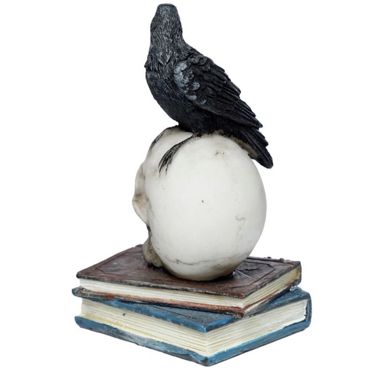 Crow Raven Standing on Skull & Books Ornament (10cm) - Image 5