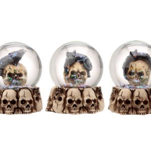img_8215 Gruesome Skull Snow Globe with Animals (8cm)
