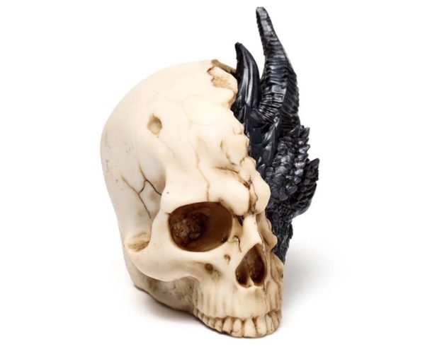 Shadows of Darkness Black Dragon in Skull Ornament (Small) (10cm) - Image 4