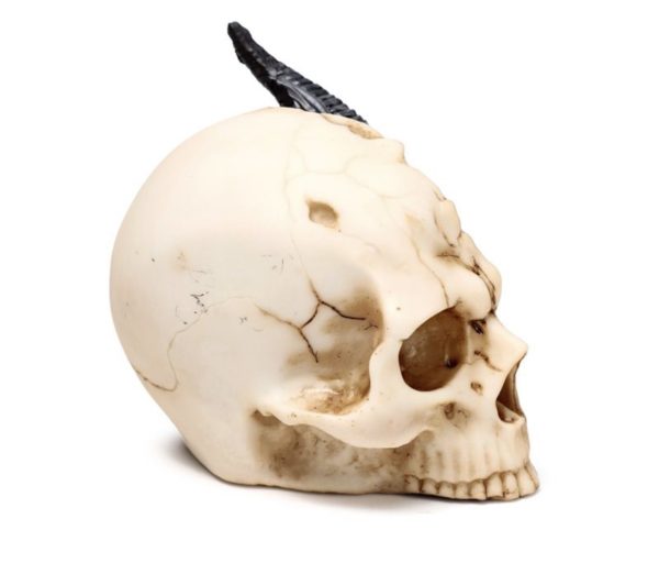 Shadows of Darkness Black Dragon in Skull Ornament (Small) (10cm) - Image 6