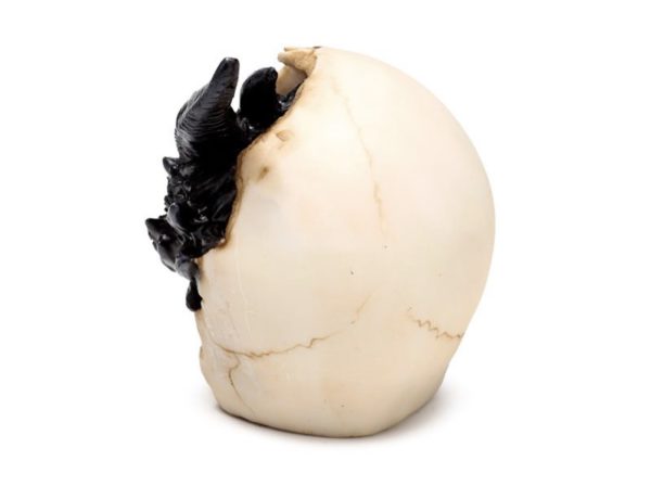 Shadows of Darkness Black Dragon in Skull Ornament (Small) (10cm) - Image 8