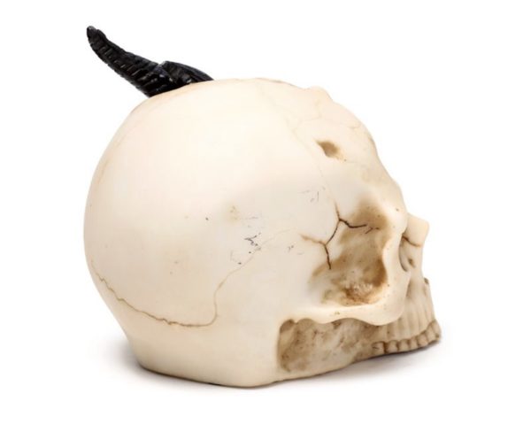 Shadows of Darkness Black Dragon in Skull Ornament (Small) (10cm) - Image 7