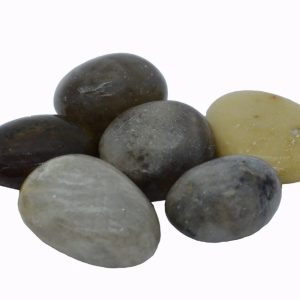 img_8826 Fossil Coral Tumble Stone