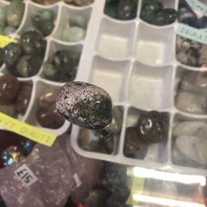 img_8860 Dendritic Agate Tumble Stone