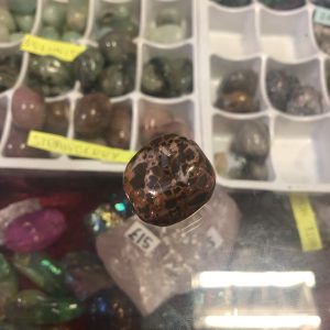 img_8863 Fruit Jasper Tumble Stone