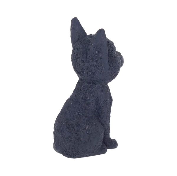 Nemesis Now©  Count Kitty Cute Smiling Fangs Vampire Cat Ornament (10cm)(Black) - Image 5