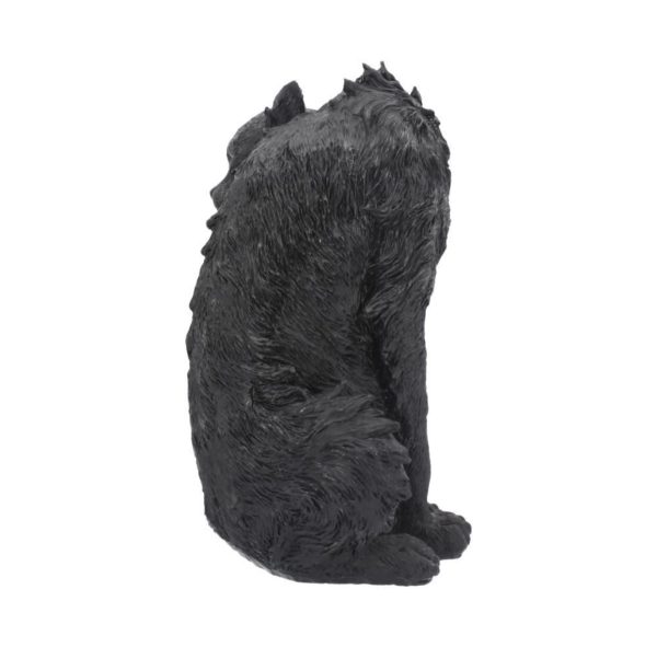 Nemesis Now© "Spite" Hunched Scruffy Witches Familiar Black Cat (Black/Yellow) (25.5cm) - Image 4