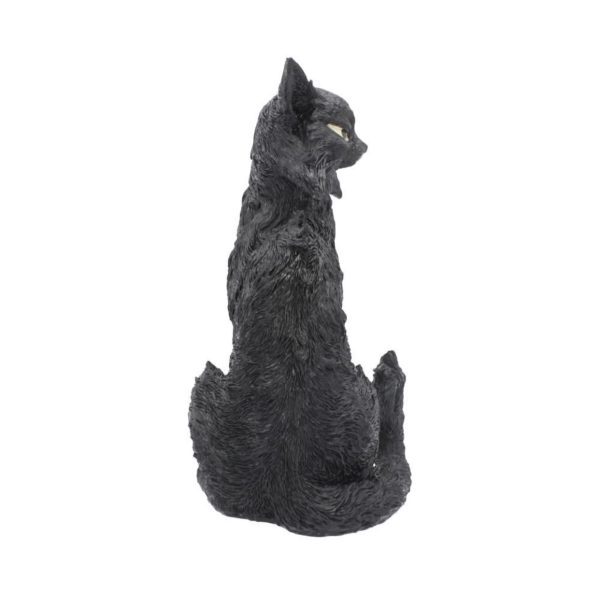 Nemesis Now© "Salem" Witch's Familiar Black Cat Ornament (32.5cm) - Image 3