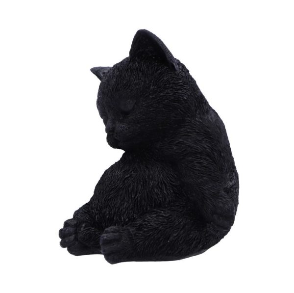 Nemesis Now© Daydream Cat Ornament 13cm - Image 4