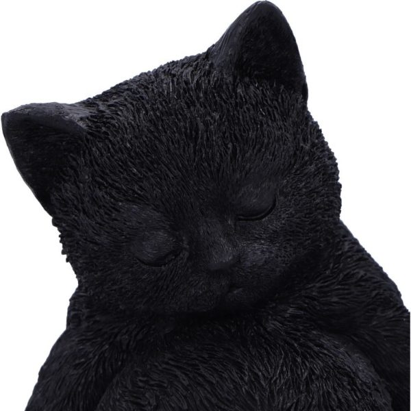 Nemesis Now© Daydream Cat Ornament 13cm - Image 2
