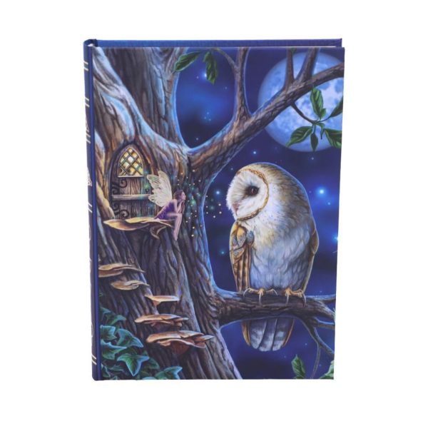 Nemesis Now© Lisa Parker© Fairy Tales Owl And Fairy Journal Book Note Pad (17cm) - Image 2