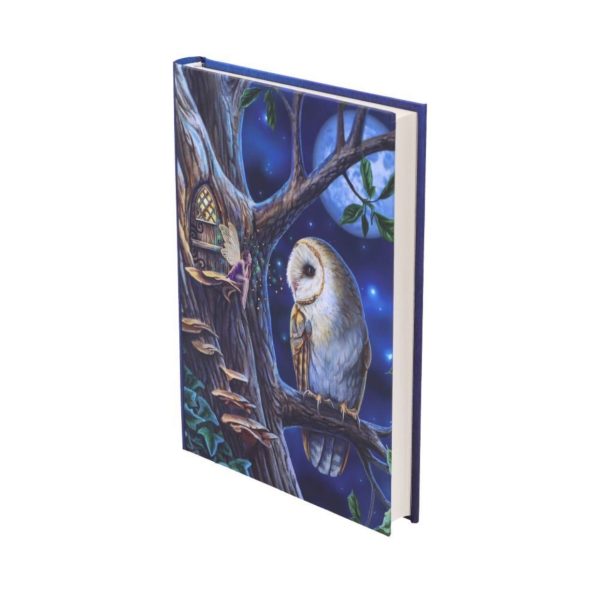 Nemesis Now© Lisa Parker© Fairy Tales Owl And Fairy Journal Book Note Pad (17cm) - Image 7