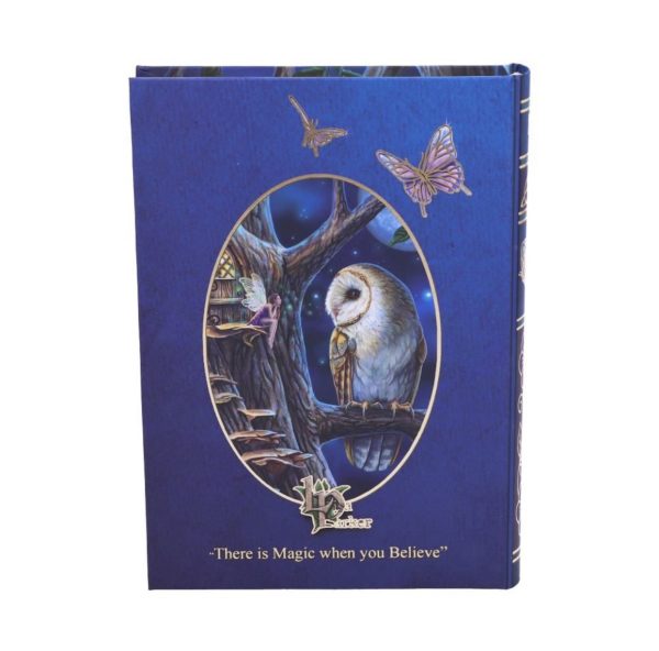 Nemesis Now© Lisa Parker© Fairy Tales Owl And Fairy Journal Book Note Pad (17cm) - Image 6