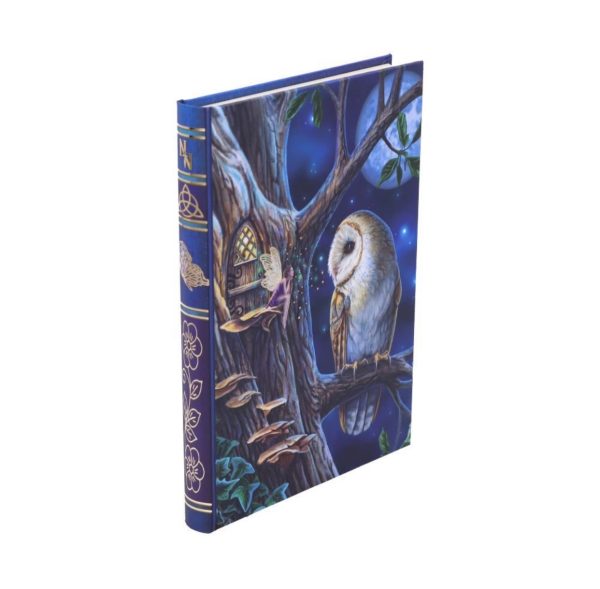 Nemesis Now© Lisa Parker© Fairy Tales Owl And Fairy Journal Book Note Pad (17cm) - Image 5