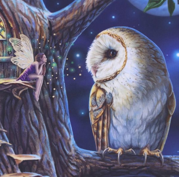 Nemesis Now© Lisa Parker© Fairy Tales Owl And Fairy Journal Book Note Pad (17cm) - Image 4