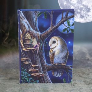 Nemesis Now© Lisa Parker© Fairy Tales Owl And Fairy Journal Book Note Pad (17cm)