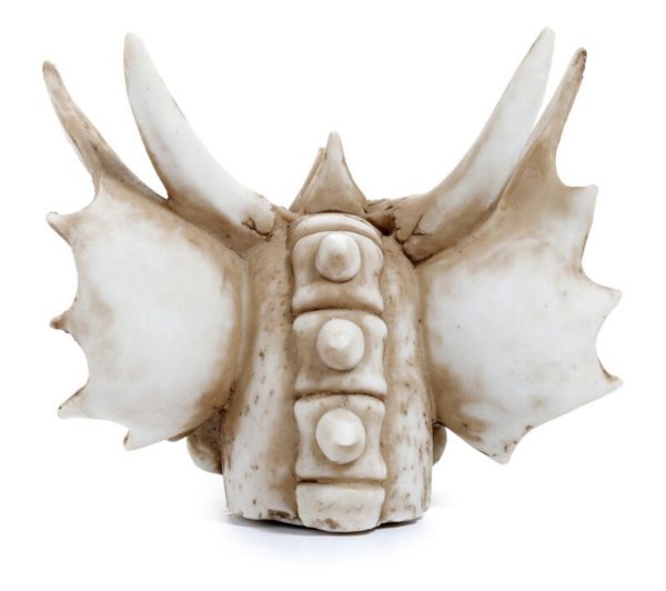 DRG526 Shadows of Darkness Dragon Skull Money Box (15cm) - Image 5
