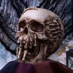 Nemesis Now© James Ryman© B5389S0 Breaking Out Skull Skeleton Ornament (20cm)