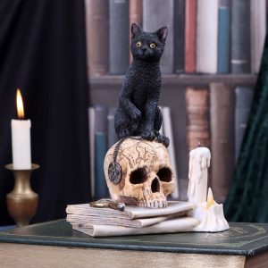 Nemesis Now© B5314S0 Lisa Parker© Spirits Of Salem Ornament (16.5cm)