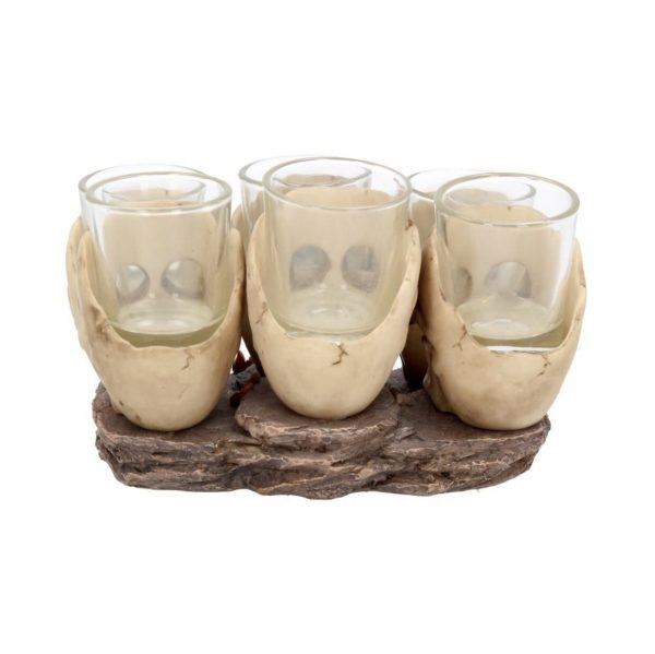 Nemesis Now© U1646E5 Six Shooter Skulls Skull Shot Glass Set (10cm) - Image 7