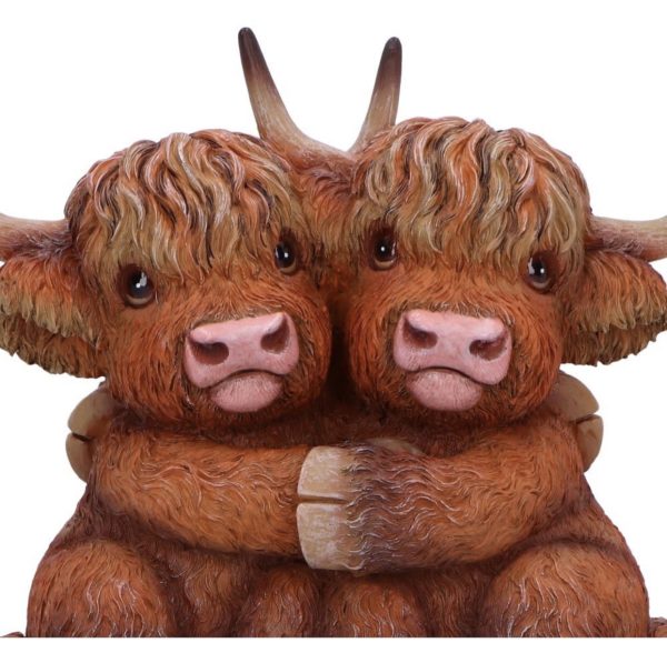 Nemesis Now© B6901C24 Highland Hug Cow Figurine Ornament (14.5cm) - Image 6